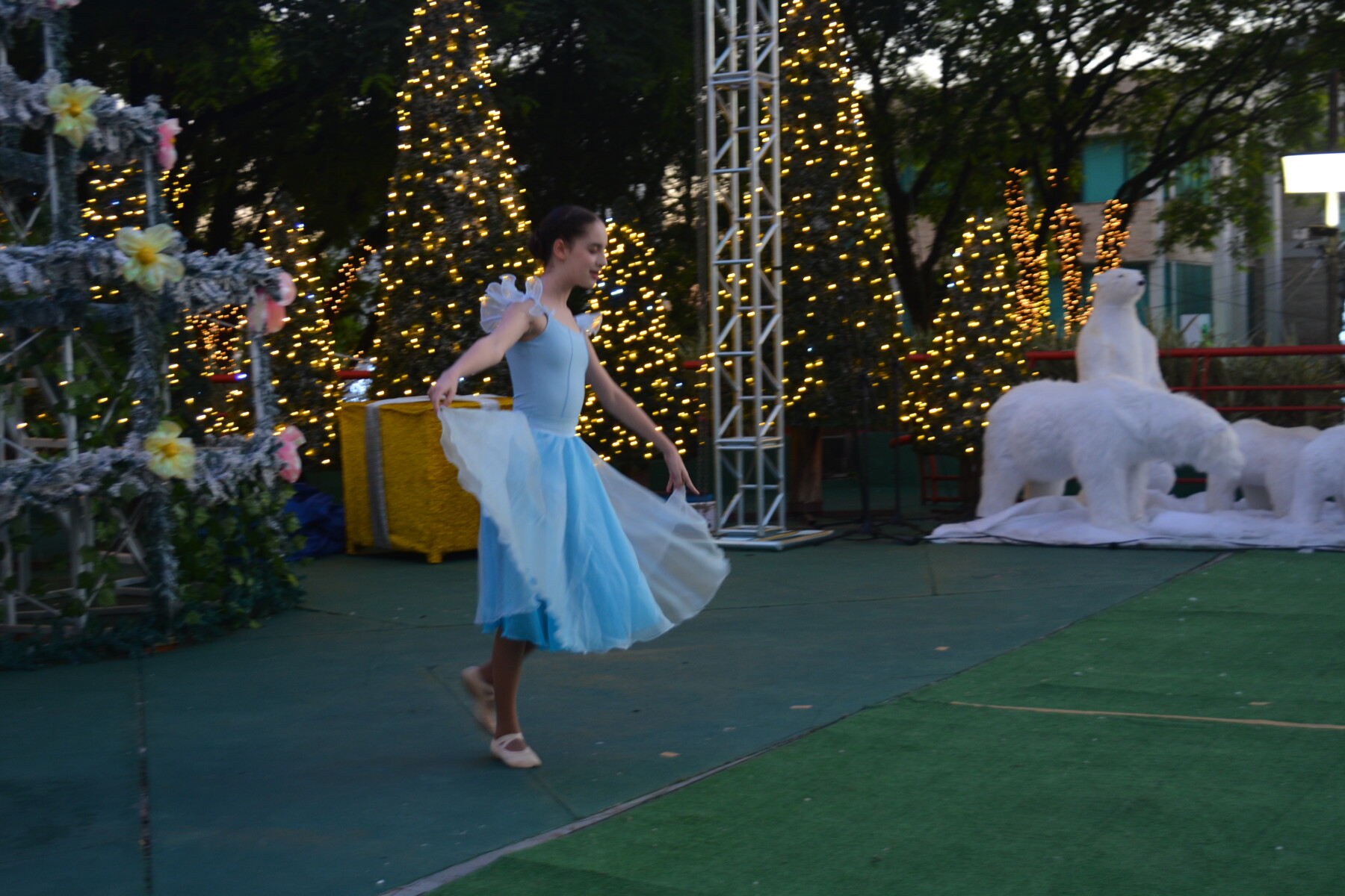DSC_4615.JPG