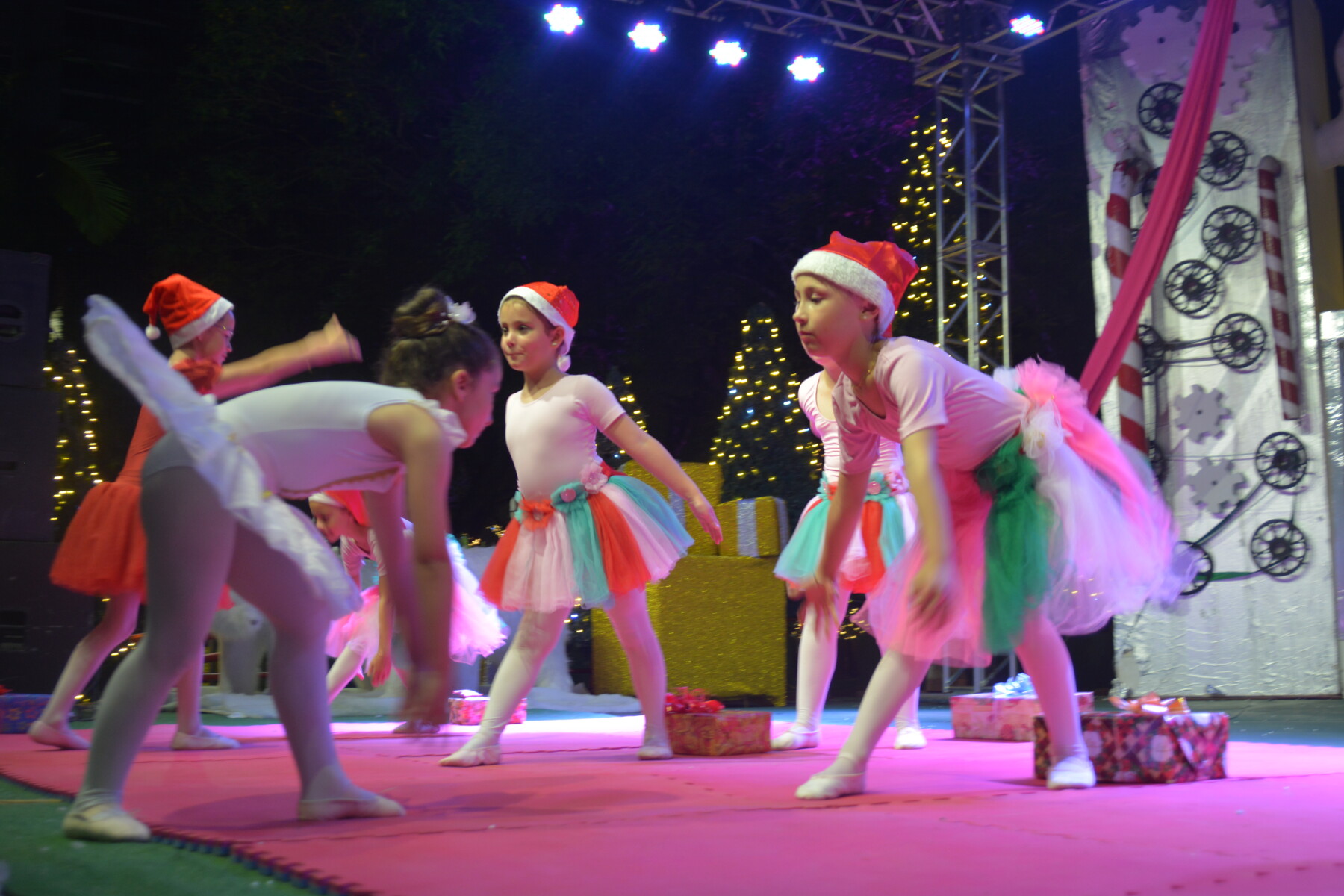 DSC_5719.JPG